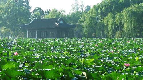 日行三万步的倔强小编，教你解锁一日游完“西湖十景”