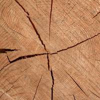 购买实木家具前你需要知道的——关于木头的特征