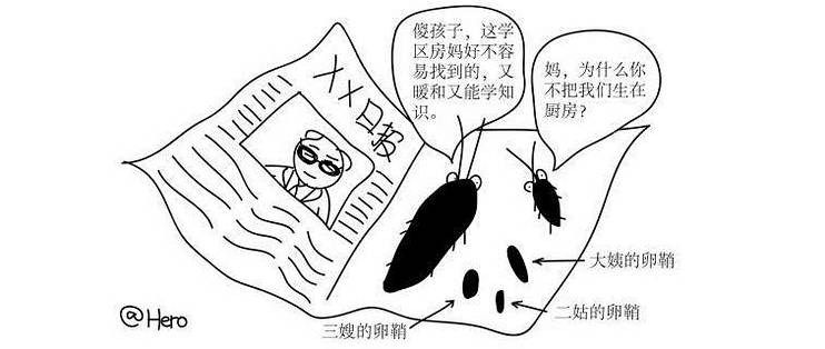 家里的蟑螂怎么消灭常用的灭蟑方法汇总 什么值得买