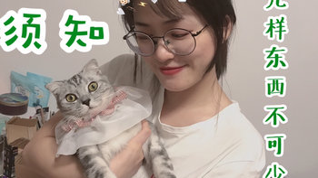 关于猫🐱 篇一：养猫须知 | 这些必备物品 你一定要知道 