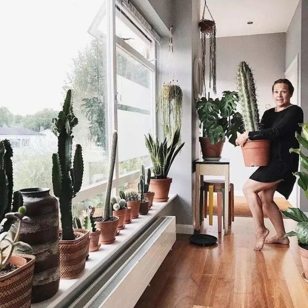 英国博主绿植布置的家,墙面阳台鸡肋地可用的35招创意,保证新手也学得会!