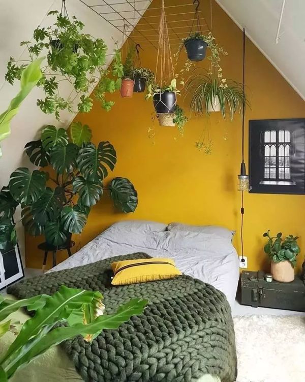 英国博主绿植布置的家,墙面阳台鸡肋地可用的35招创意,保证新手也学得会!