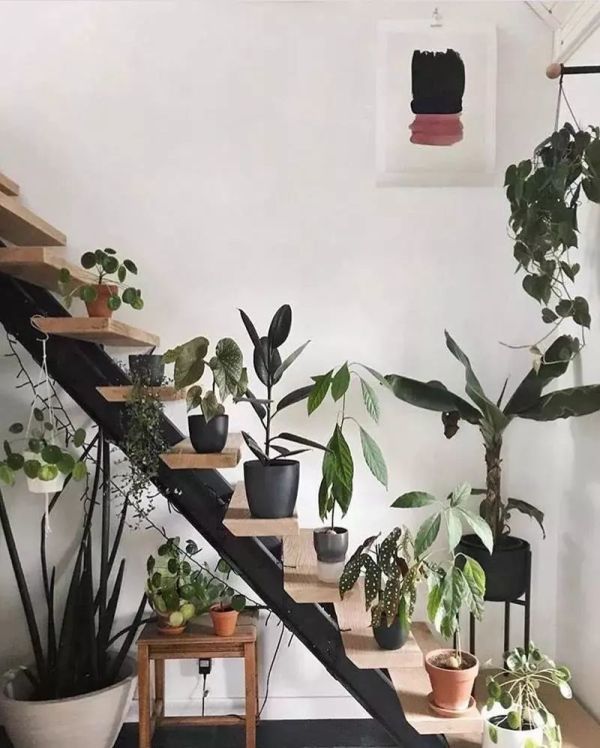 英国博主绿植布置的家,墙面阳台鸡肋地可用的35招创意,保证新手也学得会!