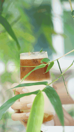 4.gif 「森系咖啡馆」,也太好看了吧...