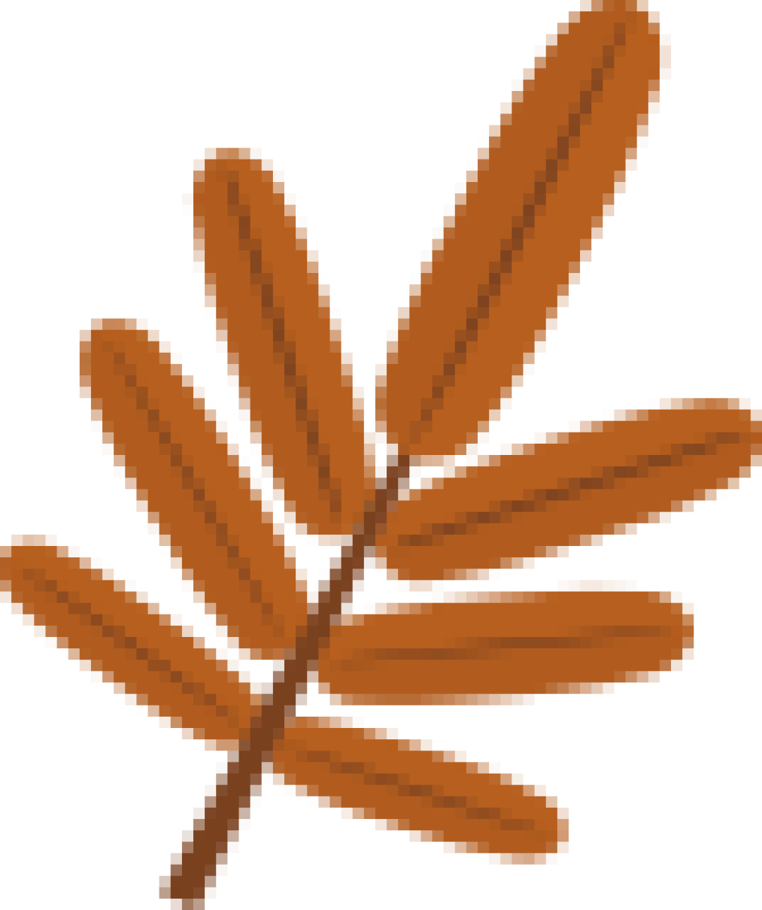 该穿卫衣了!这么穿洋气炸了!!!| 换季必备