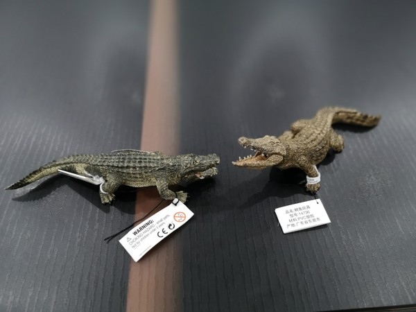 思乐野生动物-01鳄鱼🐊&美洲短吻鳄