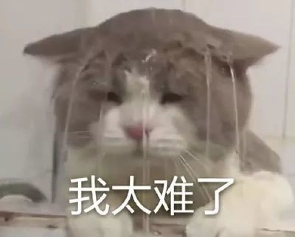 每年交4万智商税,这东西谁买谁后悔