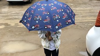 怎样为孩子挑一把好伞——Hatley A13-UM0DINO100 雨伞遮阳伞【轻众测】