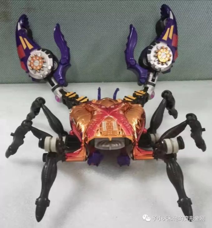 【评玩具】子小天:粑粑总测评《变形金刚 BW 原生体X狂飙,中秋节来两只大闸蟹?》
