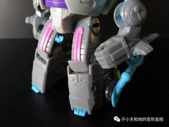 【评玩具】子小天:大果果测评《变形金刚 泰坦系列战戟和钢牙 小比例中的“好兄弟”》