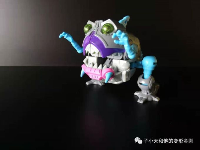 【评玩具】子小天:大果果测评《变形金刚 泰坦系列战戟和钢牙 小比例中的“好兄弟”》