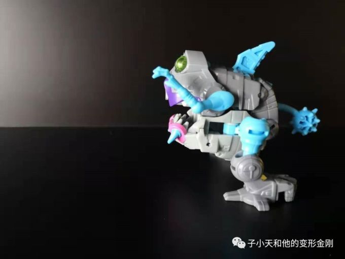 【评玩具】子小天:大果果测评《变形金刚 泰坦系列战戟和钢牙 小比例中的“好兄弟”》