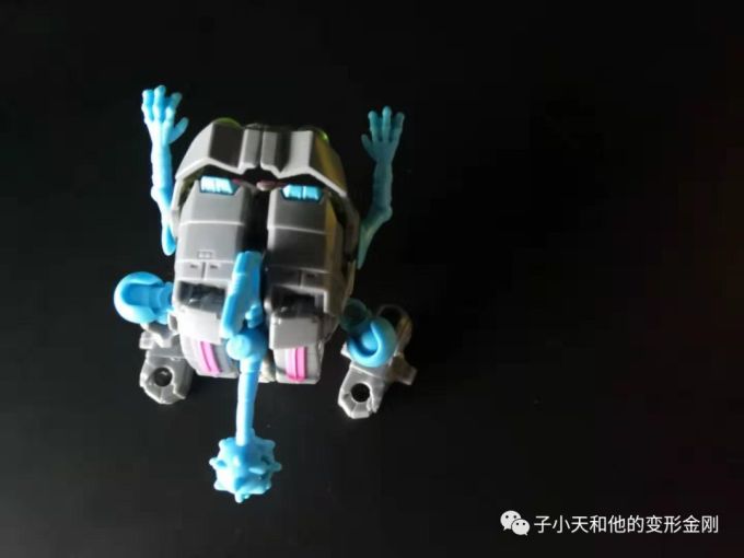【评玩具】子小天:大果果测评《变形金刚 泰坦系列战戟和钢牙 小比例中的“好兄弟”》