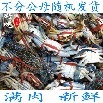 10种网上能买到的螃蟹种类盘点，除了大闸蟹、梭子蟹还能买到啥？