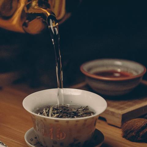 怎样才能泡一壶好茶——水为茶母、器为茶父