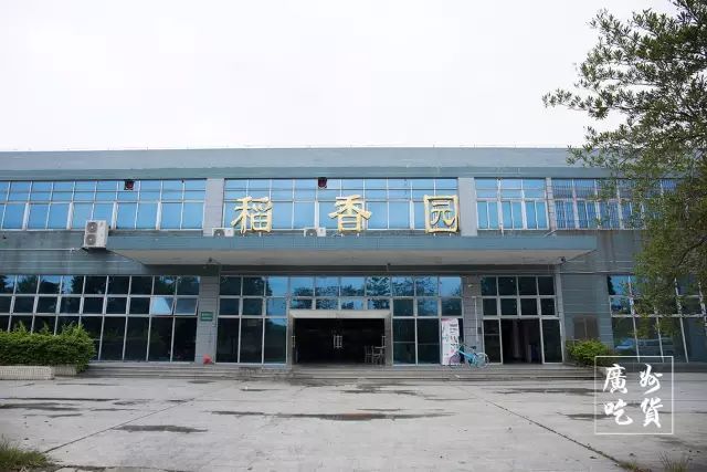 因为酸奶而全国出名的，全广州就只有这所学校了！