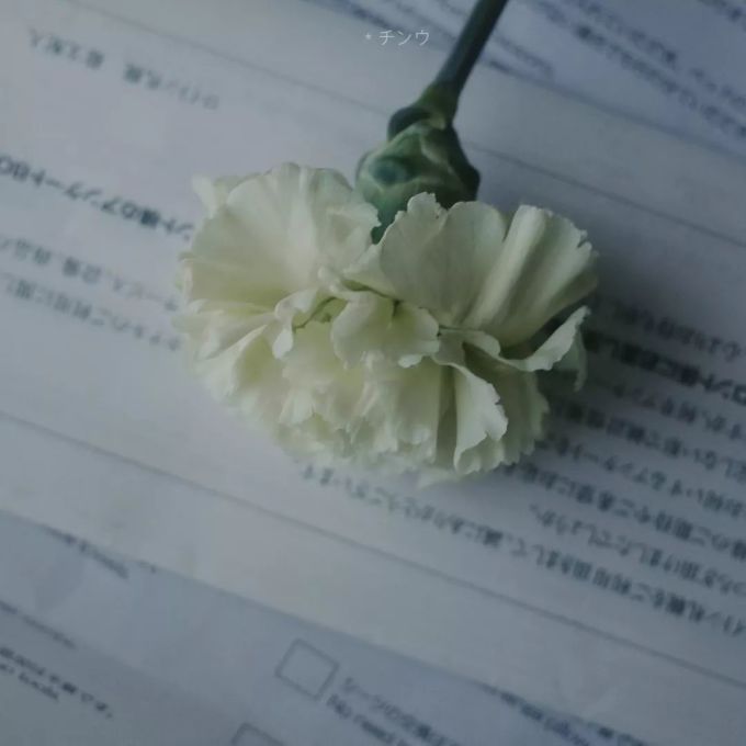 照片拍成这样,也太治治治愈了!