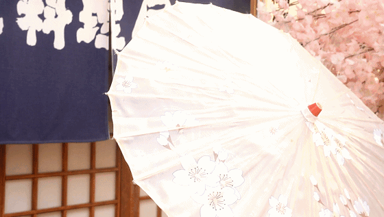 私藏了4年的好口碑日料店,新品放大招!还有免费和服体验