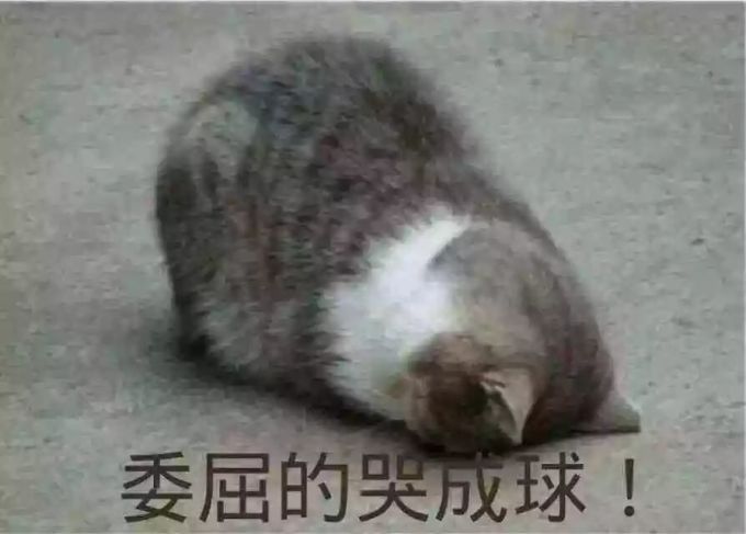 生日前买保险,能省不少钱?这是个大误区!