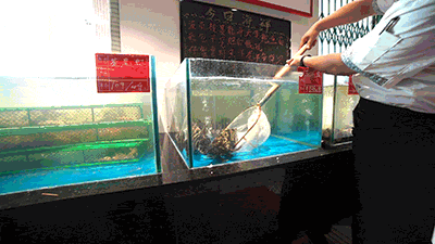 C0129.gif 引爆魔都的打边炉来袭,请全北京吃霸王餐!