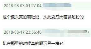 动物表演这事儿，能不看就别看了