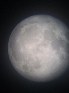看，这是月球，也叫月亮-星特朗80DX