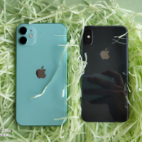 全新iPhone11绿色极速上手！