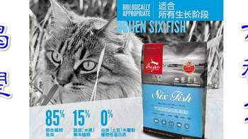 家有挑嘴猫 篇六：渴望六种鱼猫粮