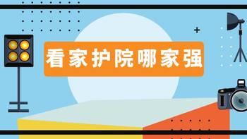 看家护院哪家强---小白、小兴来帮忙