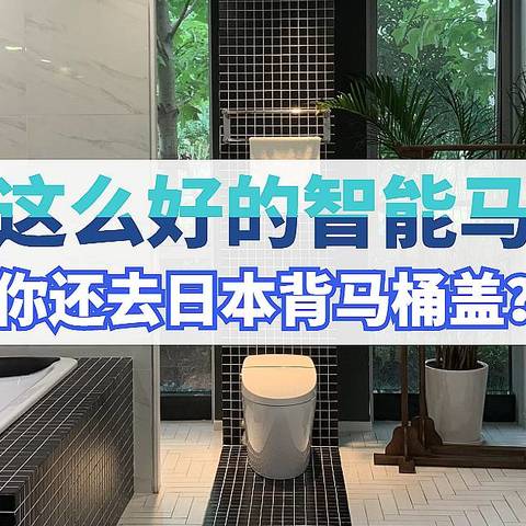 恒洁卫浴探店：有这么好的智能马桶，你还去日本背马桶盖？