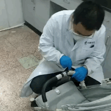 babycare8700儿童推车,增塑剂检测结果