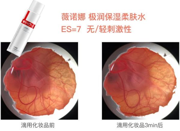 敏感肌专用化妆品真的温和不刺激?我用100只鸡胚胎做了实验…