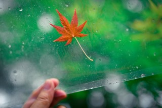 我的挂机头-适马Art35/1.4