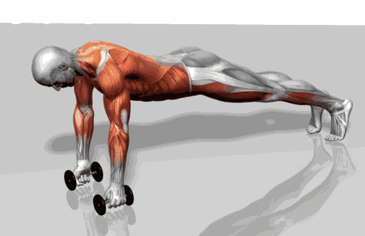 健身的正确姿势经典动作讲解系列俯卧撑