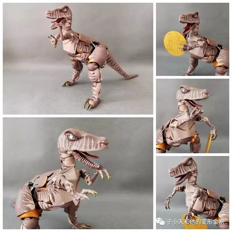 【评玩具】子小天：缦彣测评《变形金刚 MP41恐龙勇士 目前最好的恐龙勇士！》