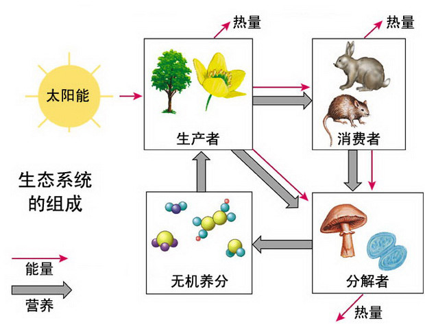 社区日报20191008：万物皆可养！非典型宠物饲养经，养出想不到的乐趣