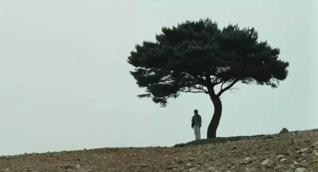 全智贤，生了一张倾国倾城的脸，但她这部电影，比她脸更让人着迷