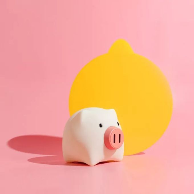 2019年第一份礼物送什么?这些猪猪好物简直可爱到猪叫!