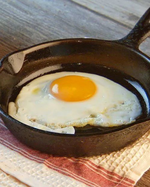 红皮鸡蛋和白皮鸡蛋，哪个营养更高，99%的人都不知道！