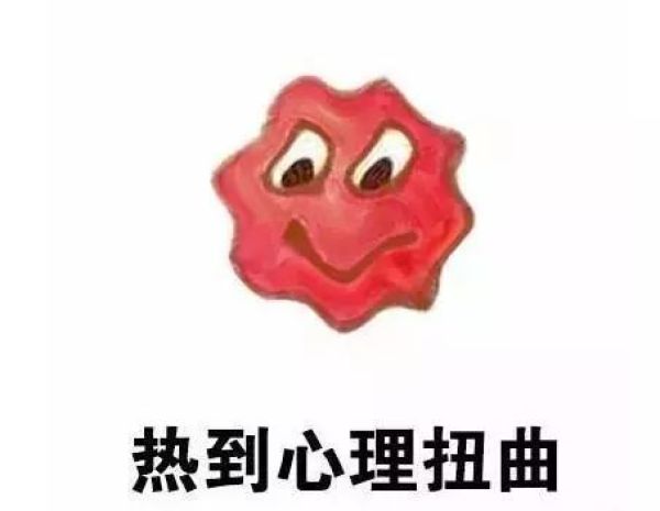 评测了88片暖宝宝,这款居然能把鸡蛋烫熟!