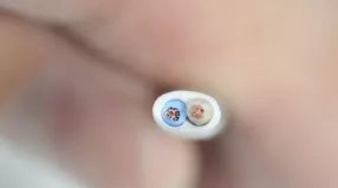 评测|200块钱缓解爸妈肩颈疼,重阳送礼pick它