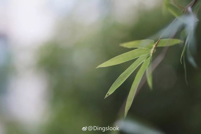 Dingslook | 夏末初秋穿什么?7个思路满足你的日常&通勤