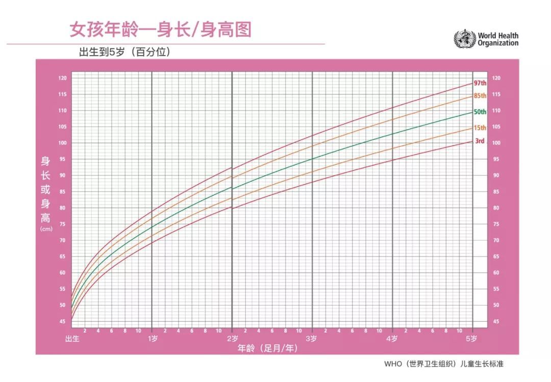 吃饭神器｜把这些安排上，宝宝乖乖吃饭不用喂！