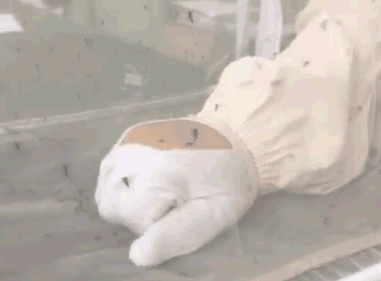 六神,你辜负了十万宝妈对你的信任!
