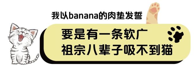 20款猫粮评测 | 国货又团灭了?大牌也有猫腻!