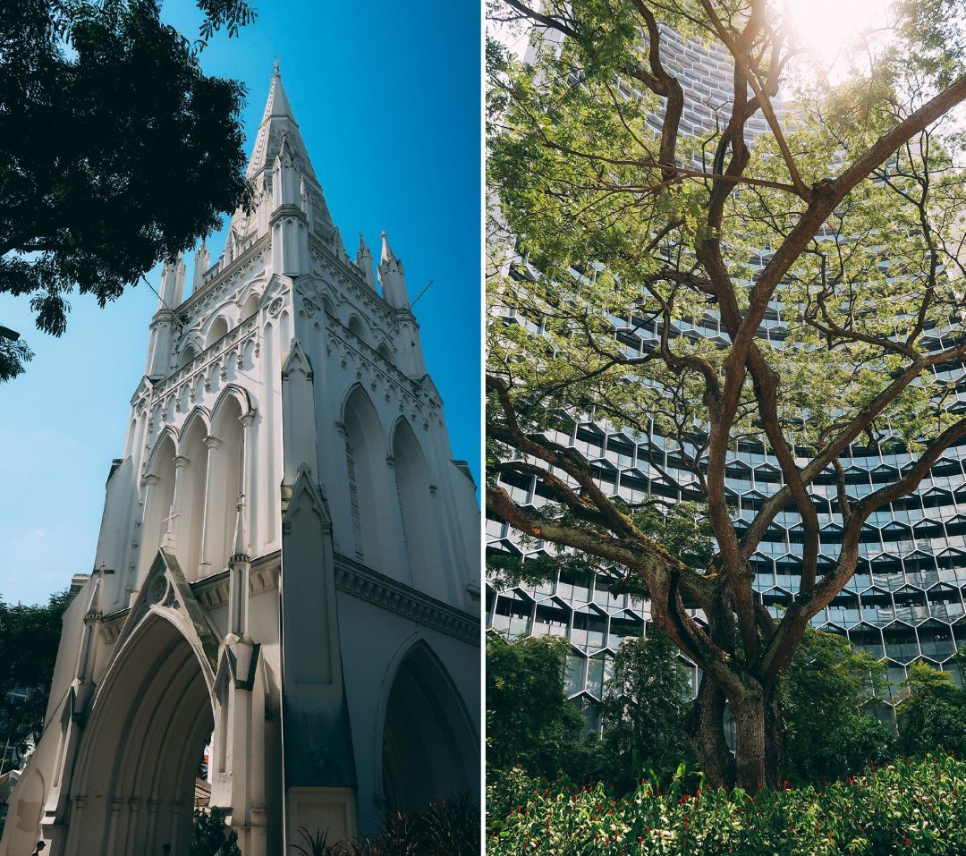 每个华人都该去感受一次新加坡，真的（附带餐厅和酒店推荐）