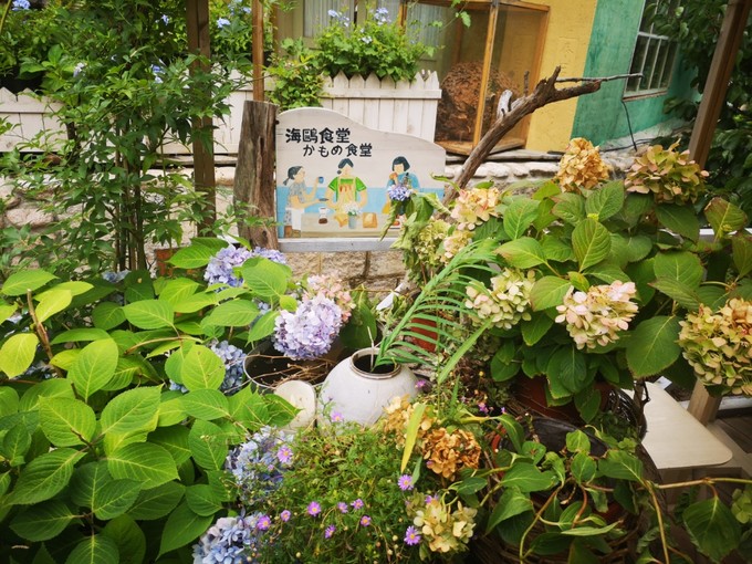 国内民宿