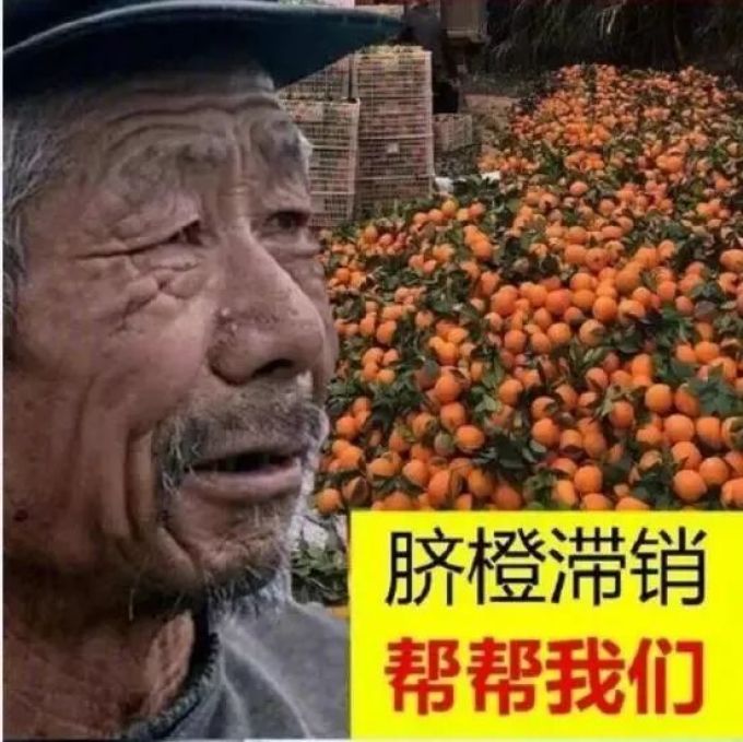 比买家秀更有毒的是卖家秀,看到第几个你抽了?