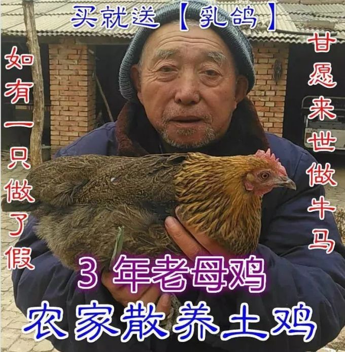 比买家秀更有毒的是卖家秀,看到第几个你抽了?