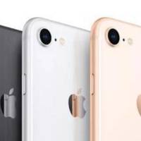 iPhone SE2明年第一季度发布 微软不考虑推WinPhone手机